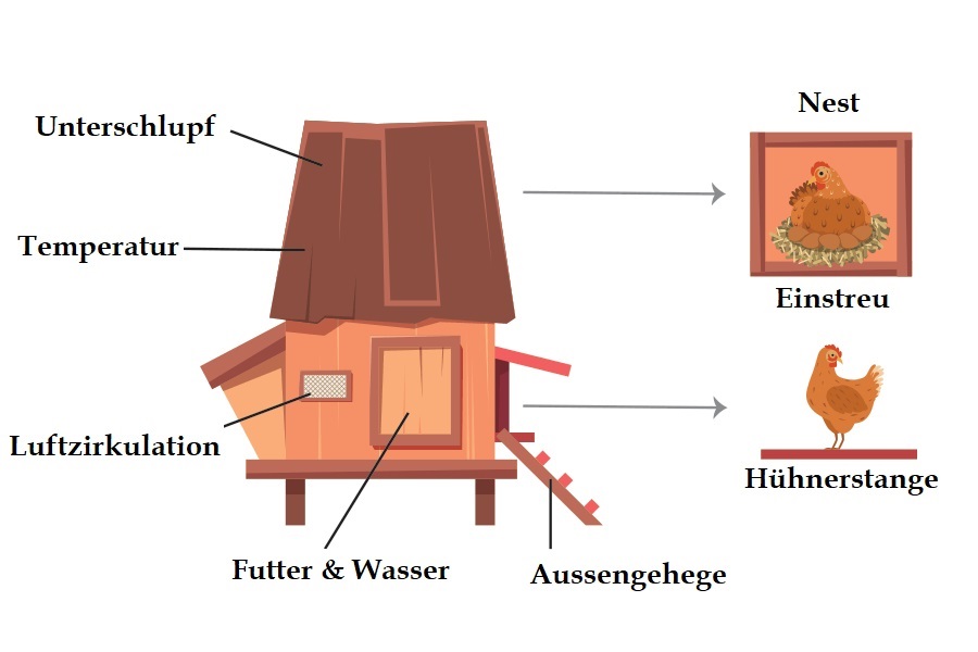 Hühnerstall Einrichtung