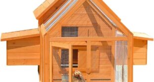 Hühnerstall für 6-8 Hühner mit Freilaufgehege