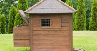 Miweba Hühnerstall my animal MH-11 - Kiefernholz