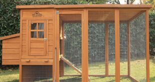 Pets Imperial® Arlington Flachdach-Hühnerstall mit Außenauslauf